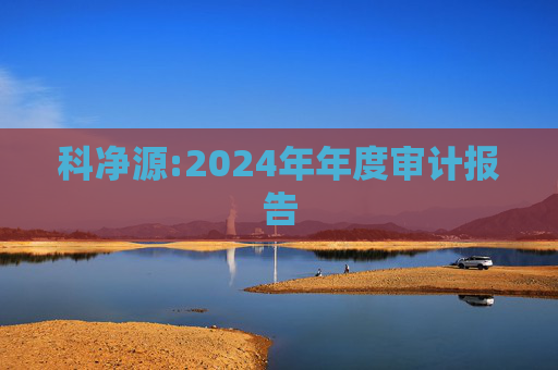 科净源:2024年年度审计报告