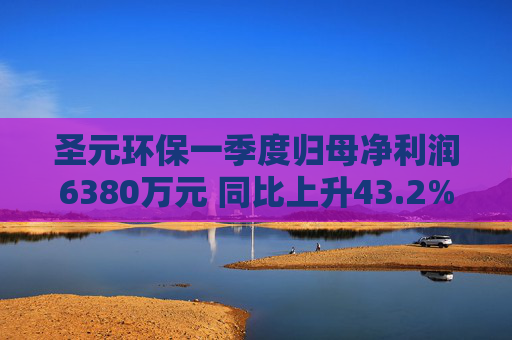 圣元环保一季度归母净利润6380万元 同比上升43.2%  第1张