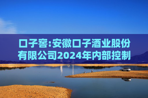 口子窖:安徽口子酒业股份有限公司2024年内部控制评价报告