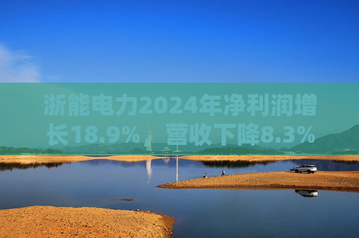浙能电力2024年净利润增长18.9%，营收下降8.3%