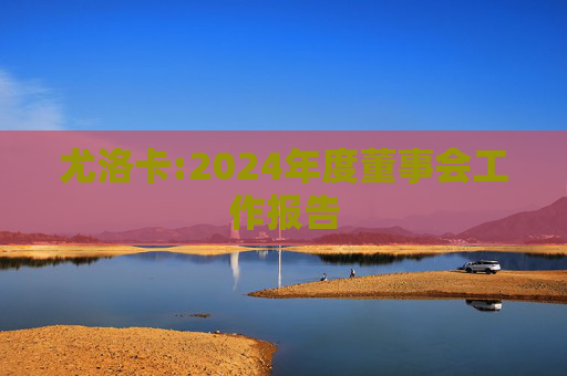尤洛卡:2024年度董事会工作报告