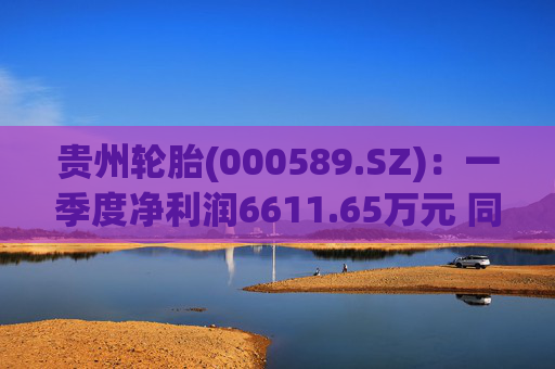 贵州轮胎(000589.SZ)：一季度净利润6611.65万元 同比减少68.13%