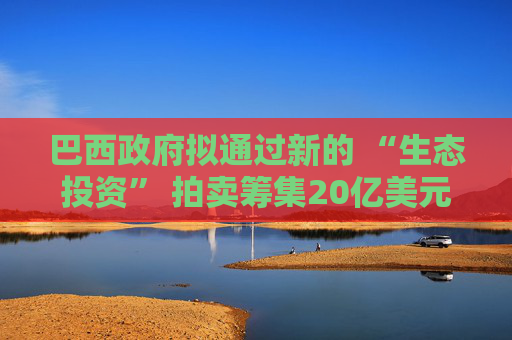 巴西政府拟通过新的 “生态投资” 拍卖筹集20亿美元资金