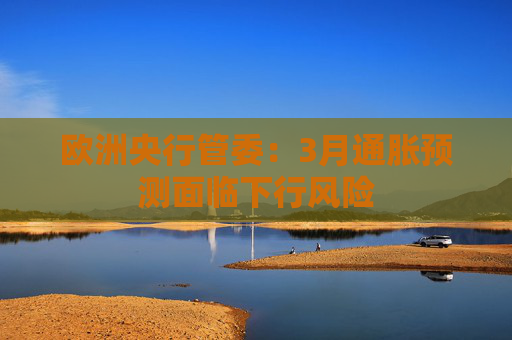 欧洲央行管委：3月通胀预测面临下行风险