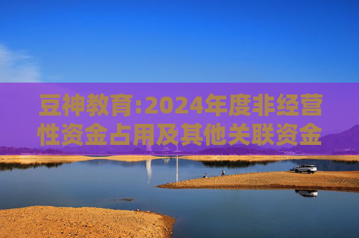 豆神教育:2024年度非经营性资金占用及其他关联资金往来情况汇总表  第1张