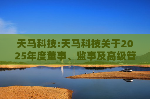 天马科技:天马科技关于2025年度董事、监事及高级管理人员薪酬方案的公告  第1张