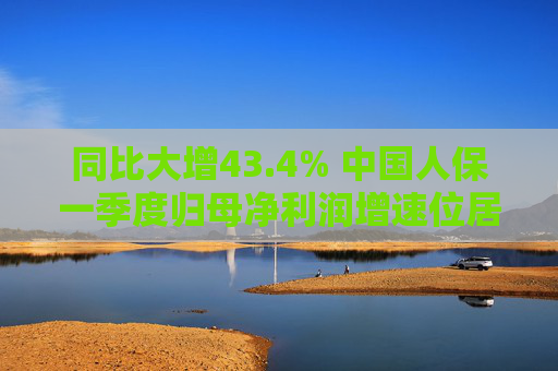 同比大增43.4% 中国人保一季度归母净利润增速位居五大上市险企之首  第1张