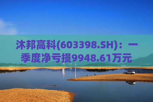 沐邦高科(603398.SH)：一季度净亏损9948.61万元