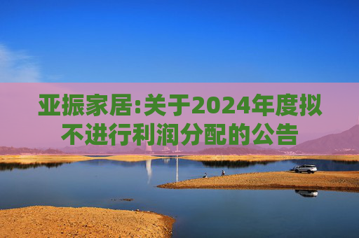 亚振家居:关于2024年度拟不进行利润分配的公告
