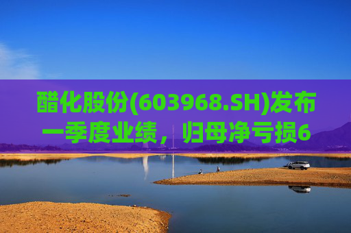 醋化股份(603968.SH)发布一季度业绩，归母净亏损671.79万元，亏损收窄  第1张