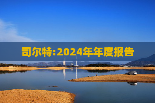 司尔特:2024年年度报告  第1张