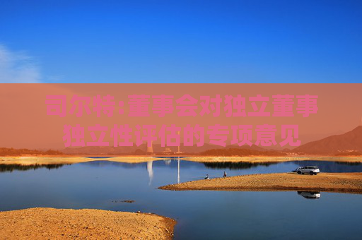 司尔特:董事会对独立董事独立性评估的专项意见  第1张