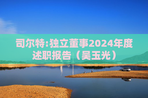 司尔特:独立董事2024年度述职报告（吴玉光）