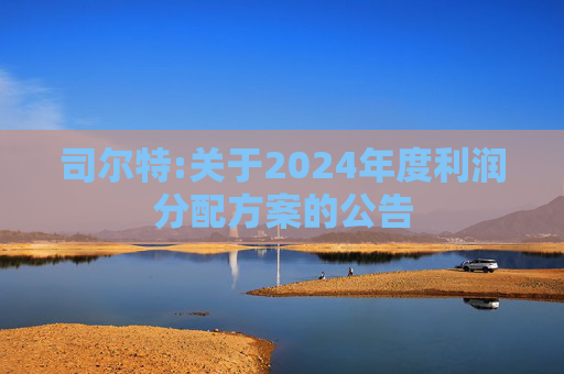 司尔特:关于2024年度利润分配方案的公告  第1张