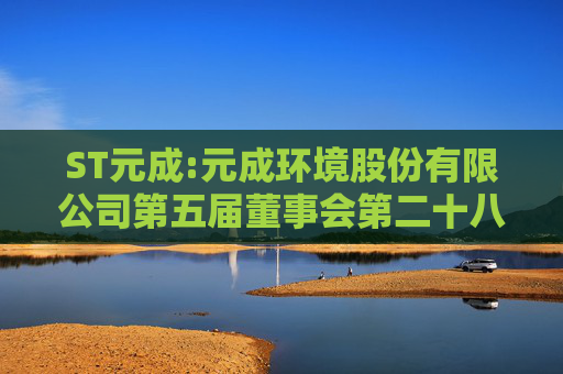 ST元成:元成环境股份有限公司第五届董事会第二十八次会议决议公告