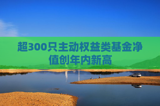 超300只主动权益类基金净值创年内新高