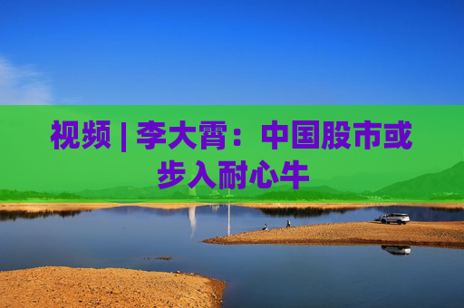 视频 | 李大霄：中国股市或步入耐心牛  第1张