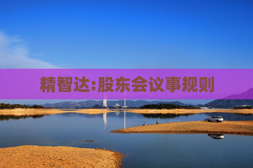 精智达:股东会议事规则