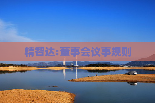 精智达:董事会议事规则