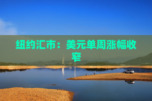 纽约汇市：美元单周涨幅收窄