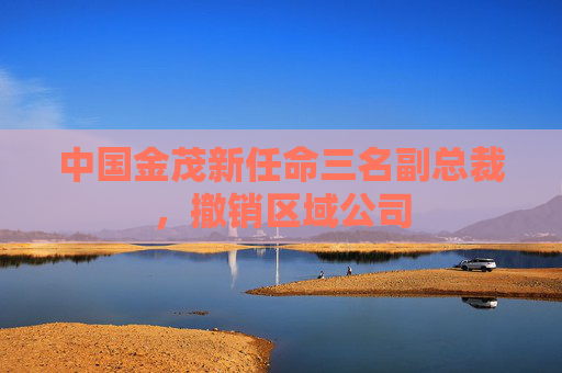 中国金茂新任命三名副总裁，撤销区域公司