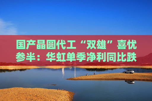 国产晶圆代工“双雄”喜忧参半：华虹单季净利同比跌近9成，中芯国际大涨166.5%