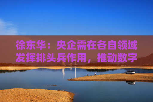徐东华：央企需在各自领域发挥排头兵作用，推动数字化转型