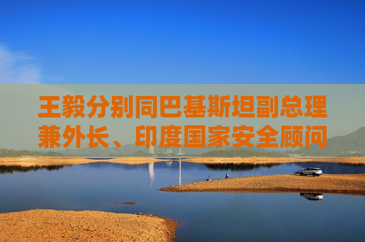王毅分别同巴基斯坦副总理兼外长、印度国家安全顾问通电话
