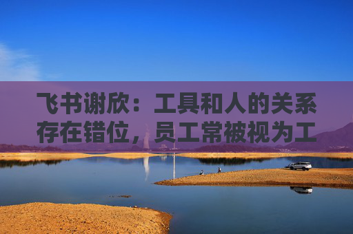 飞书谢欣：工具和人的关系存在错位，员工常被视为工具的附属