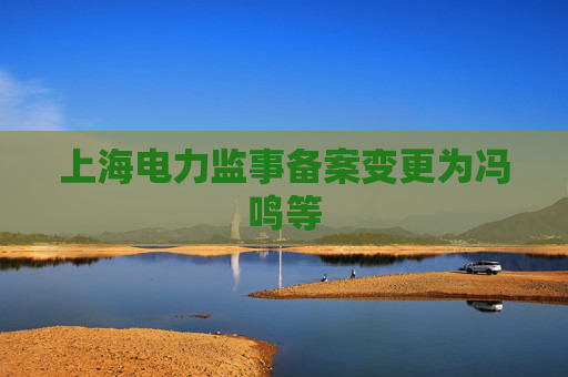 上海电力监事备案变更为冯鸣等  第1张