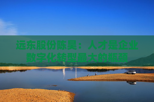 远东股份陈昊：人才是企业数字化转型最大的瓶颈