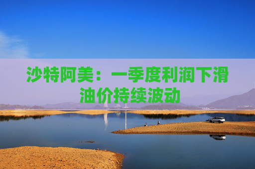 沙特阿美：一季度利润下滑 油价持续波动