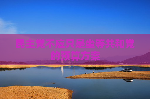 民主党不应只是坐等共和党的预算方案