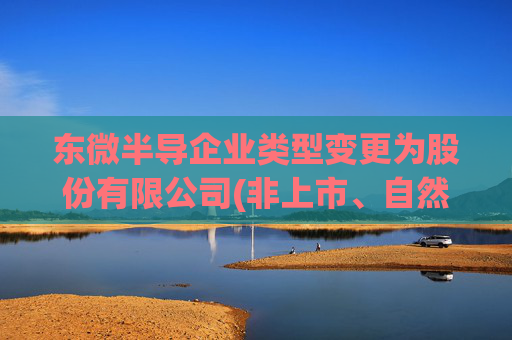 东微半导企业类型变更为股份有限公司(非上市、自然人投资或控股)  第1张