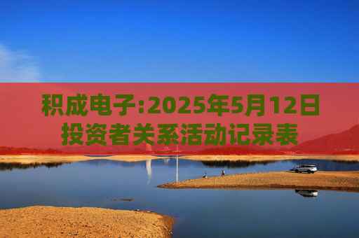 积成电子:2025年5月12日投资者关系活动记录表