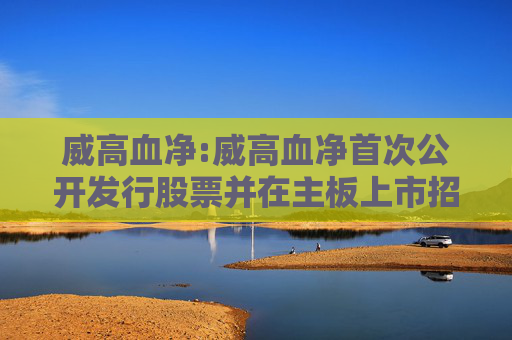 威高血净:威高血净首次公开发行股票并在主板上市招股说明书提示性公告