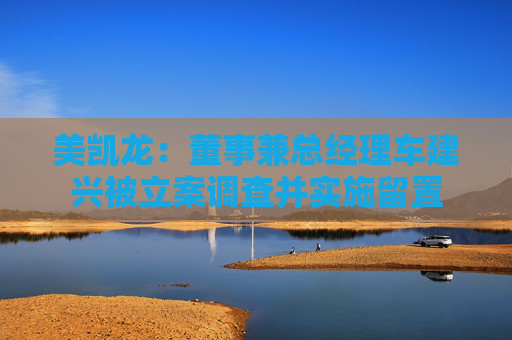 美凯龙：董事兼总经理车建兴被立案调查并实施留置