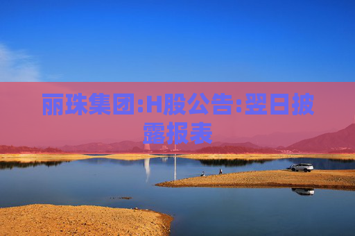 丽珠集团:H股公告:翌日披露报表
