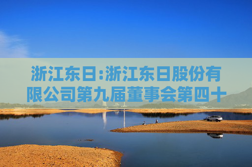 浙江东日:浙江东日股份有限公司第九届董事会第四十次会议决议公告