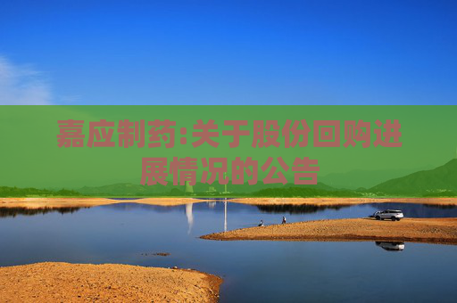 嘉应制药:关于股份回购进展情况的公告