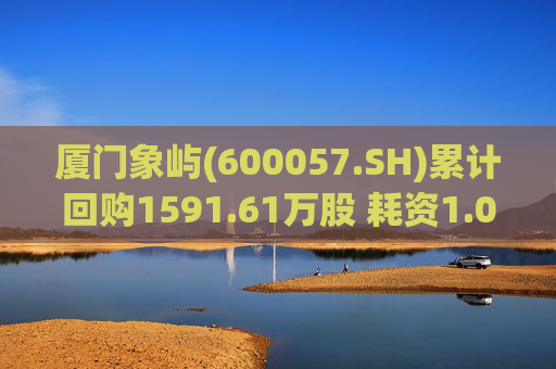 厦门象屿(600057.SH)累计回购1591.61万股 耗资1.03亿元