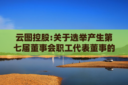 云图控股:关于选举产生第七届董事会职工代表董事的公告