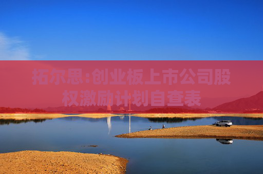 拓尔思:创业板上市公司股权激励计划自查表