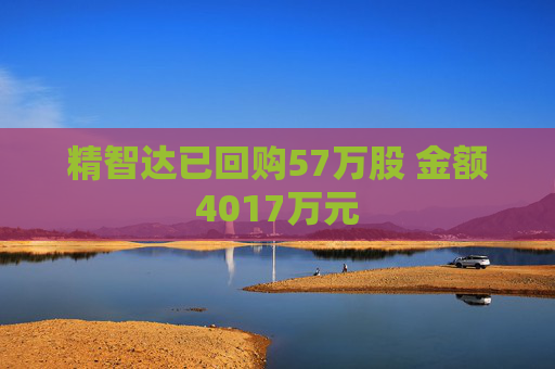 精智达已回购57万股 金额4017万元