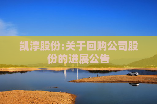 凯淳股份:关于回购公司股份的进展公告  第1张