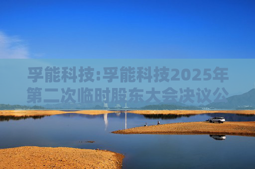 孚能科技:孚能科技2025年第二次临时股东大会决议公告  第1张