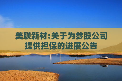 美联新材:关于为参股公司提供担保的进展公告