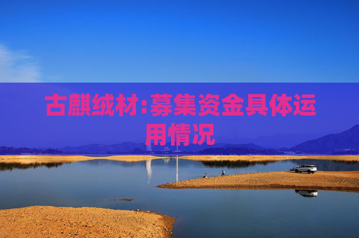古麒绒材:募集资金具体运用情况