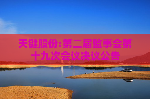 天键股份:第二届监事会第十九次会议决议公告