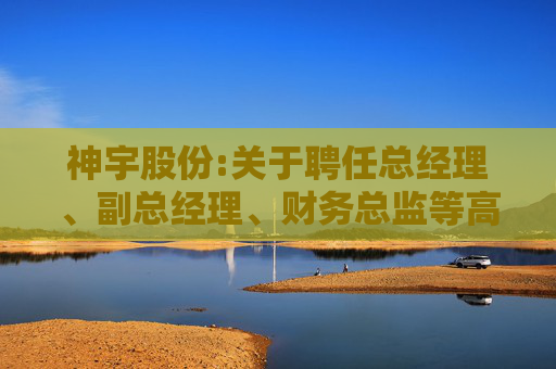 神宇股份:关于聘任总经理、副总经理、财务总监等高级管理人员的公告